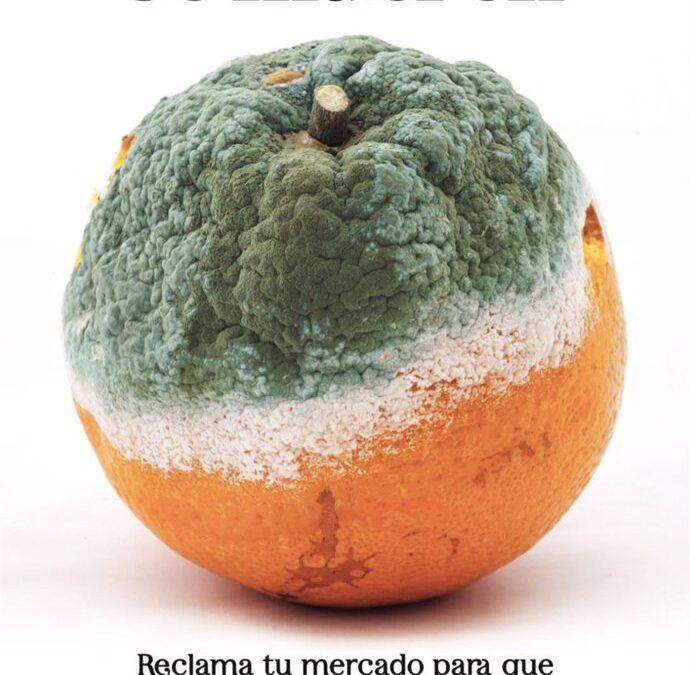 L’Ajuntament de Santa Pola demana la retirada de la campanya “Els mercats moren” amb la foto d’una taronja podrida