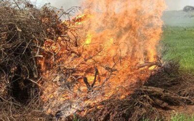 La Generalitat Valenciana suspende los permisos para quema hasta el 15 de octubre