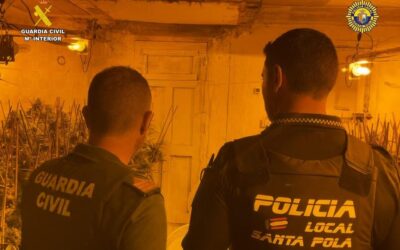 Desmantellada una plantació de marihuana tipus indoor a Santa Pola i detinguts els seus responsables