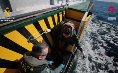 La Guardia Civil y el Museo del Mar de Santa Pola ponen en libertad a más de 2.400 animales marinos