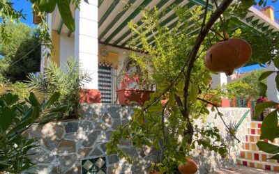 El Ayuntamiento de Santa Pola adjudica por 499.000 euros las obras del edificio y jardines de Villa Adelaida