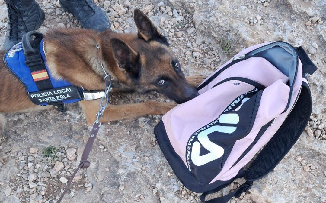 El servicio canino de la Policía Local actúa para erradicar el consumo de sustancias estupefacientes junto a los institutos