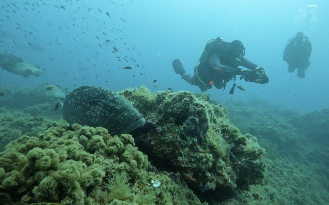Santa Pola se promociona como destino de turismo deportivo en un evento de buceo en Paracuellos de Jarama