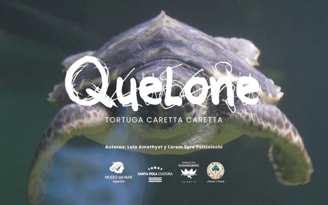 Dos artistas crean una canción para Quelone, la tortuga del Aquarium