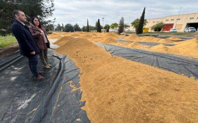 El Ayuntamiento invierte casi 300.000 euros en mejoras en el polígono industrial gracias a una subvención del IVACE