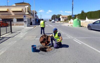 Actuacions programades durant tot l’any per la Regidoria de Sanitat per a la gestió integral de plagues