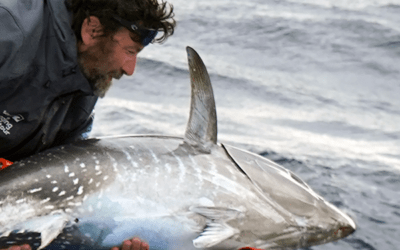 El Scientific Angler Tagging Tour vuelve a Santa Pola con el objetivo de marcar electrónicamente 20 atunes rojos