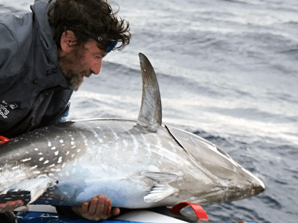 El Scientific Angler Tagging Tour vuelve a Santa Pola con el objetivo de marcar electrónicamente 20 atunes rojos