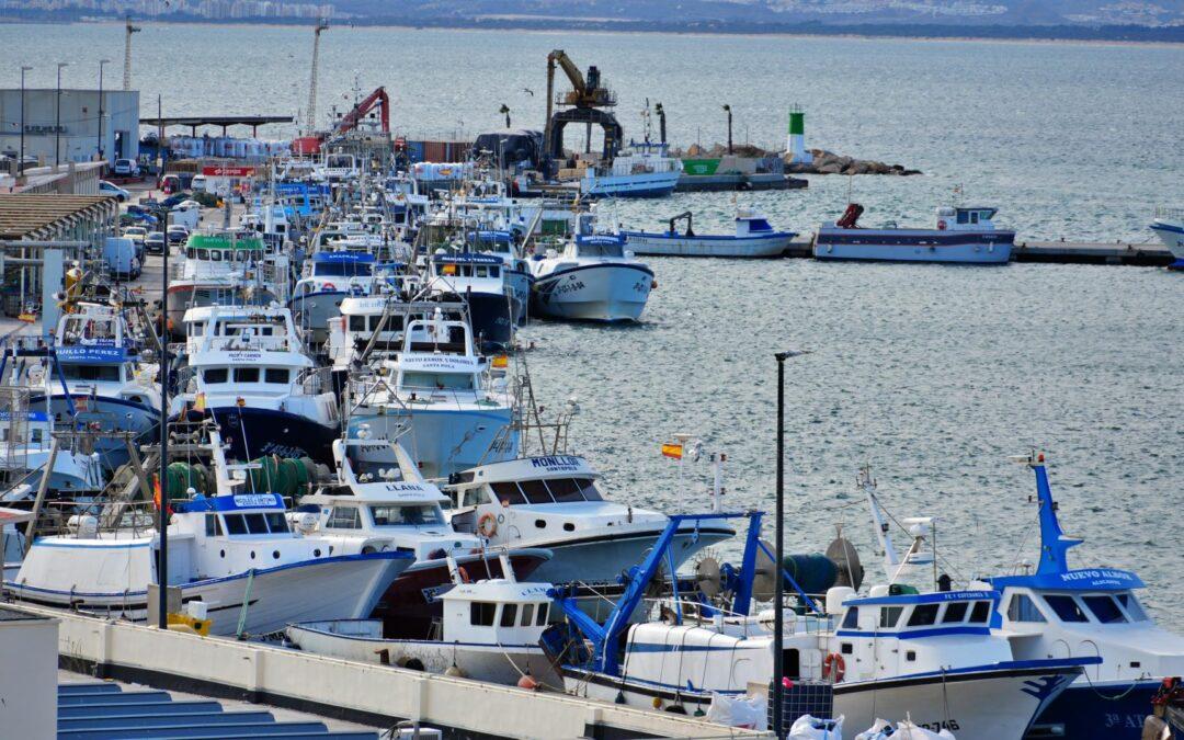 Hay futuro para nuestro sector pesquero: el Parlamento Europeo aprueba el informe de la eurodiputada popular Carmen Crespo para reformar el Plan Plurianual del Mediterráneo
